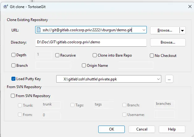 Clonage d'un repo avec TortoiseGIT