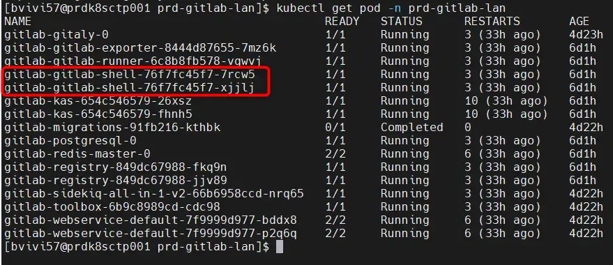 Pod Gitlab Shell