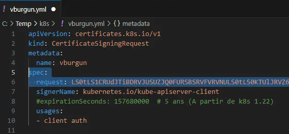 Implémentation du CSR en base 64 dans le fichier 