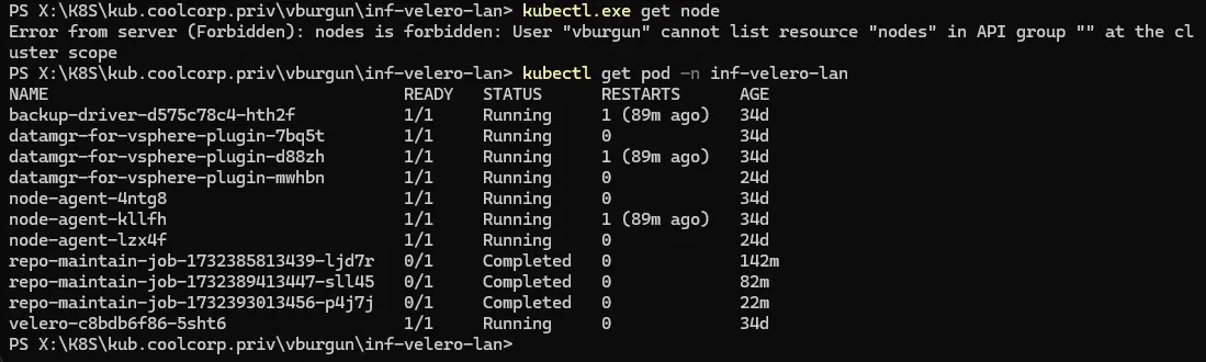 List des pods pour le namespace inf-velero-lan