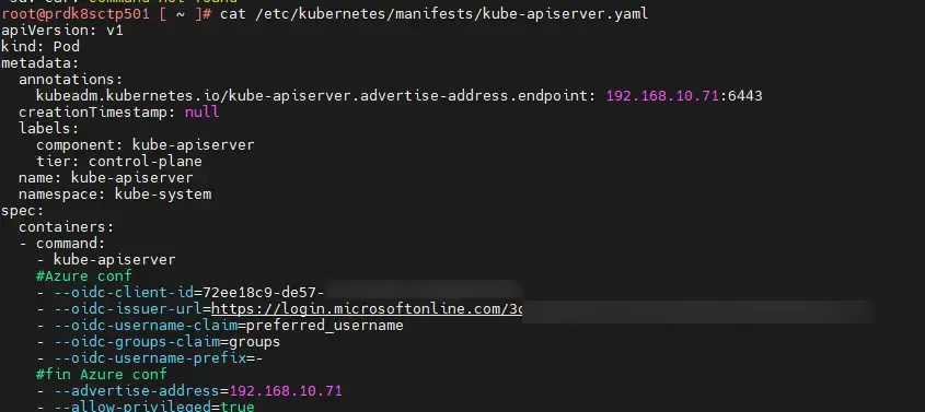Parametre dans le manifest de l'API server