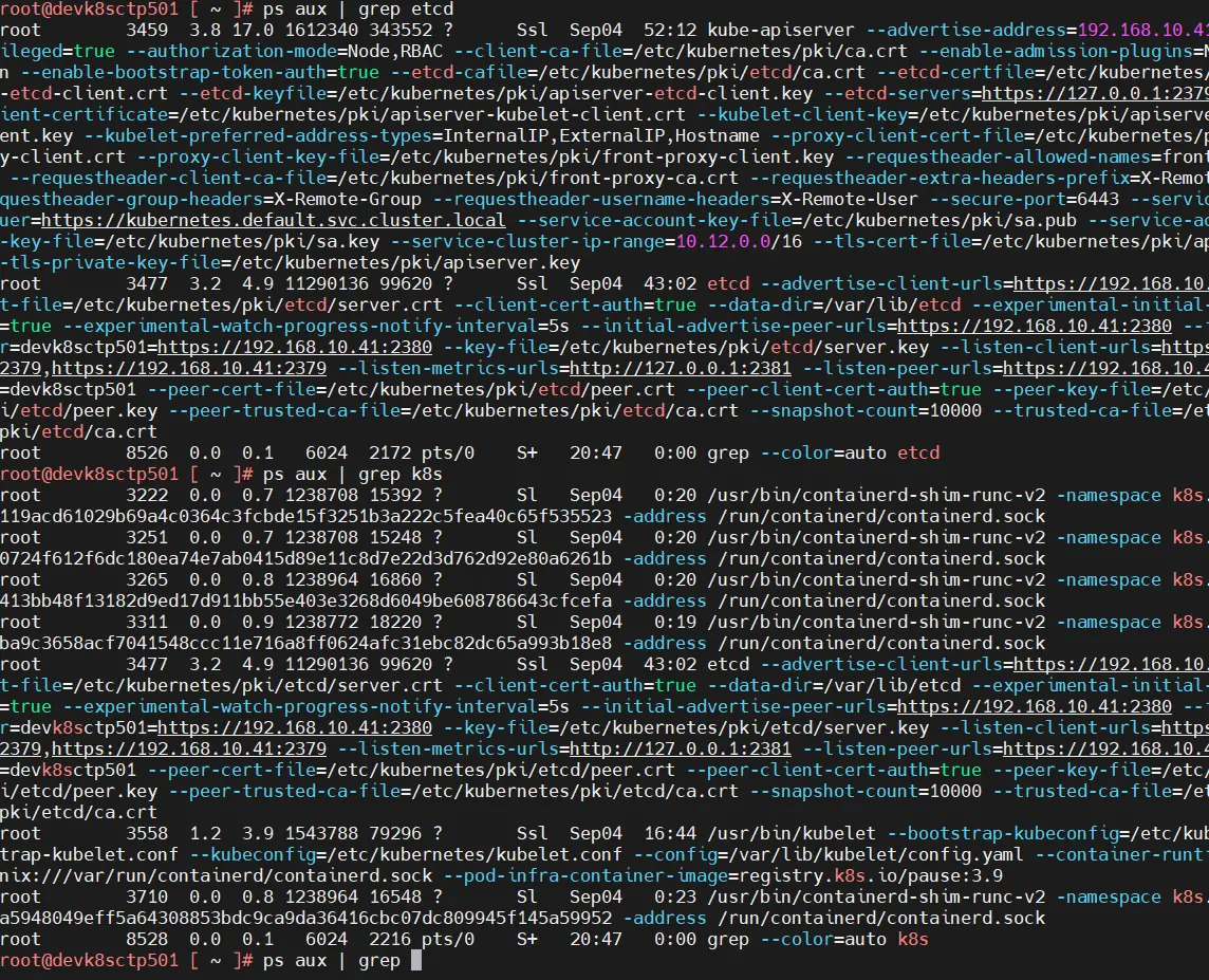 Listing des process Kubernetes et etcd