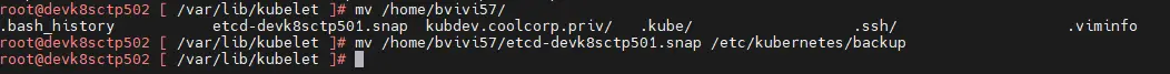 Copie du snapshot sur les autres nodes
