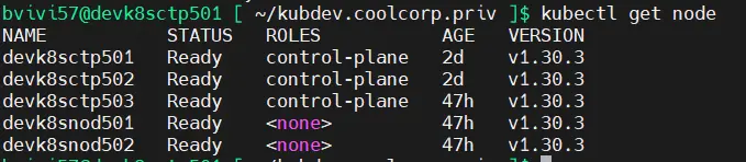 Cluster K8S de DEV