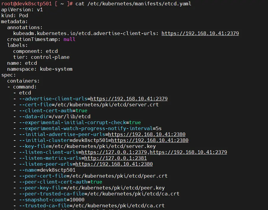 Contenu du manifest etcd proposé par kubeadm