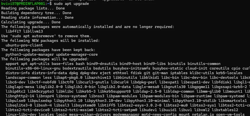 apt upgrade