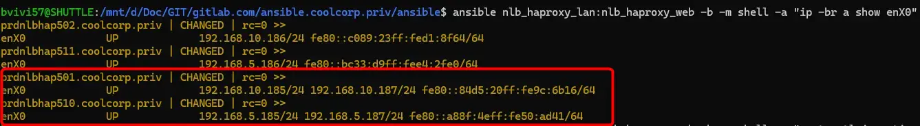 Sortie Ansible de ip -br a show enX0 sur les quatre load balancers : seuls les nœuds MASTER portent la VIP