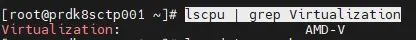 Controle du support de la virtualisation par le CPU