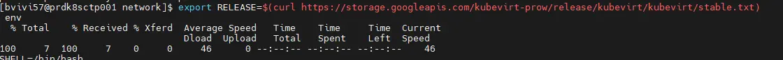 Définition de la variable de version