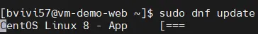 Exemple de commande dans la VM