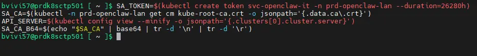 Récupération du token et du CA dans des variables shell