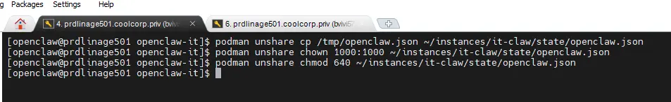 Reattribution de la propriété et des droits du fichier de configuration openclaw.json à l'UID 1000 pour que le conteneur rootless puisse le lire