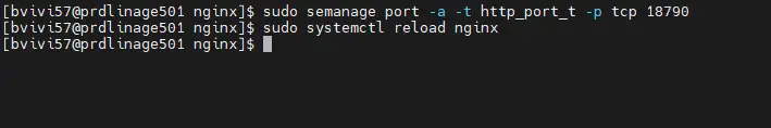 Configuration SElinux pour NGINX