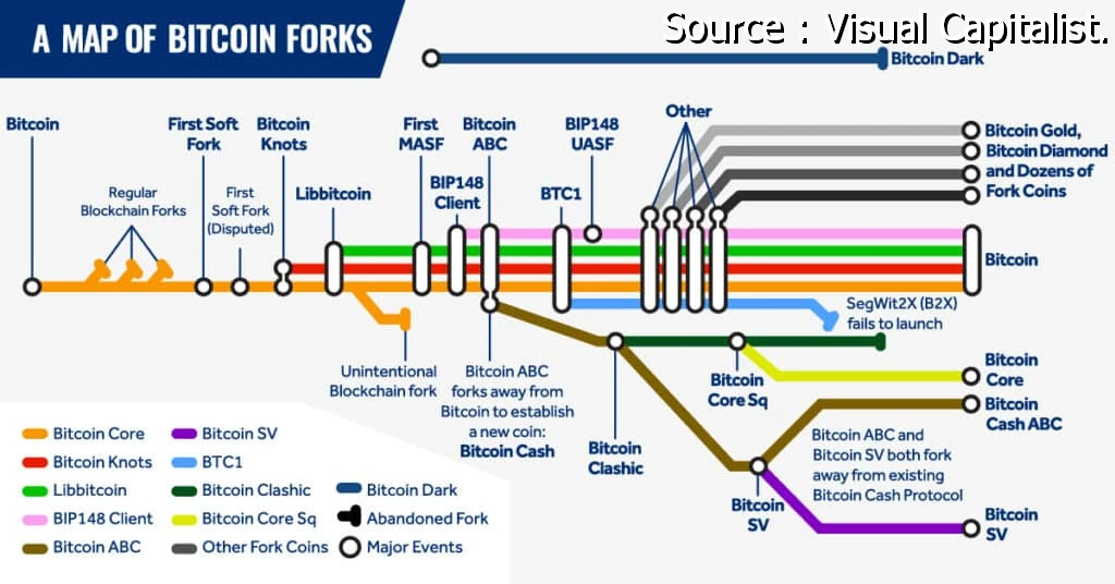 Fork de Bitcoin : source Visual Capitalist.