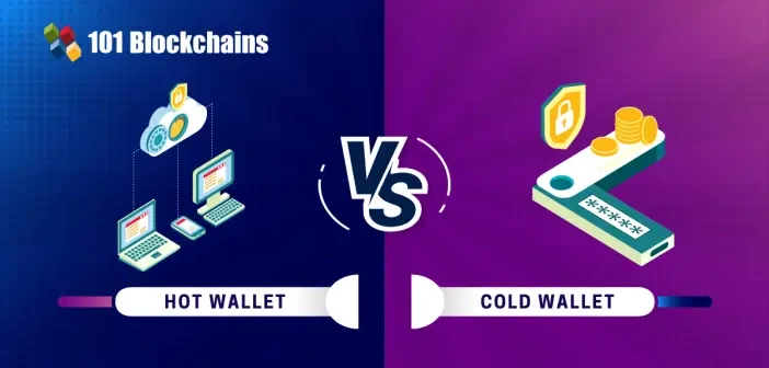 Hot Walle vs Cold Wallet: https://101blockchains.com/hot-wallet-vs-cold-wallet/