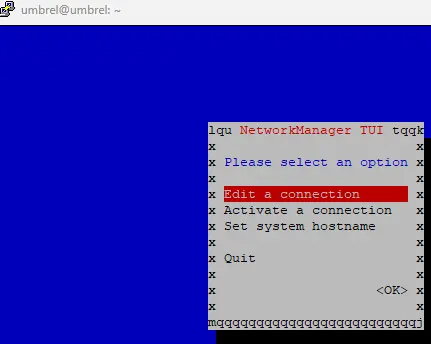 sudo nmtui