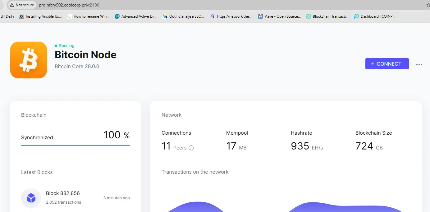 Interface de Bitcoin Node