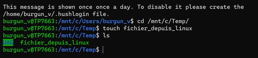 Accès au filesystem local