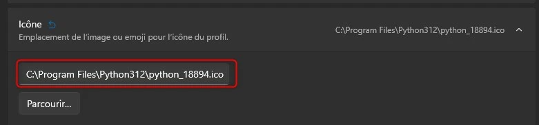 Ajout d'un icone sur le profil python