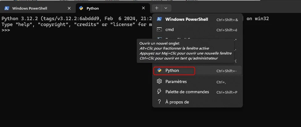 Résultat final terminal Windows