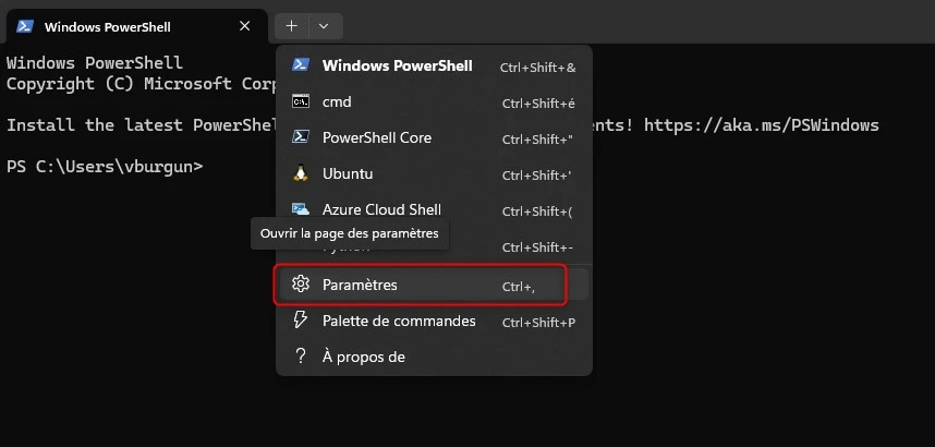 Options du terminal