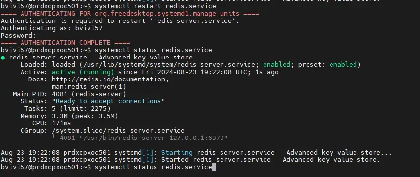 Demarrage de Redis