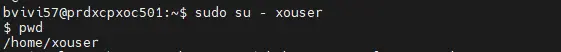 Connexion dans le contexte de l'utilisateur xouser