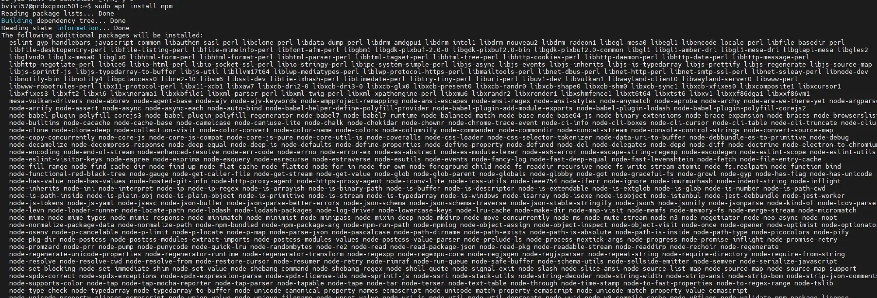 Installation de npm