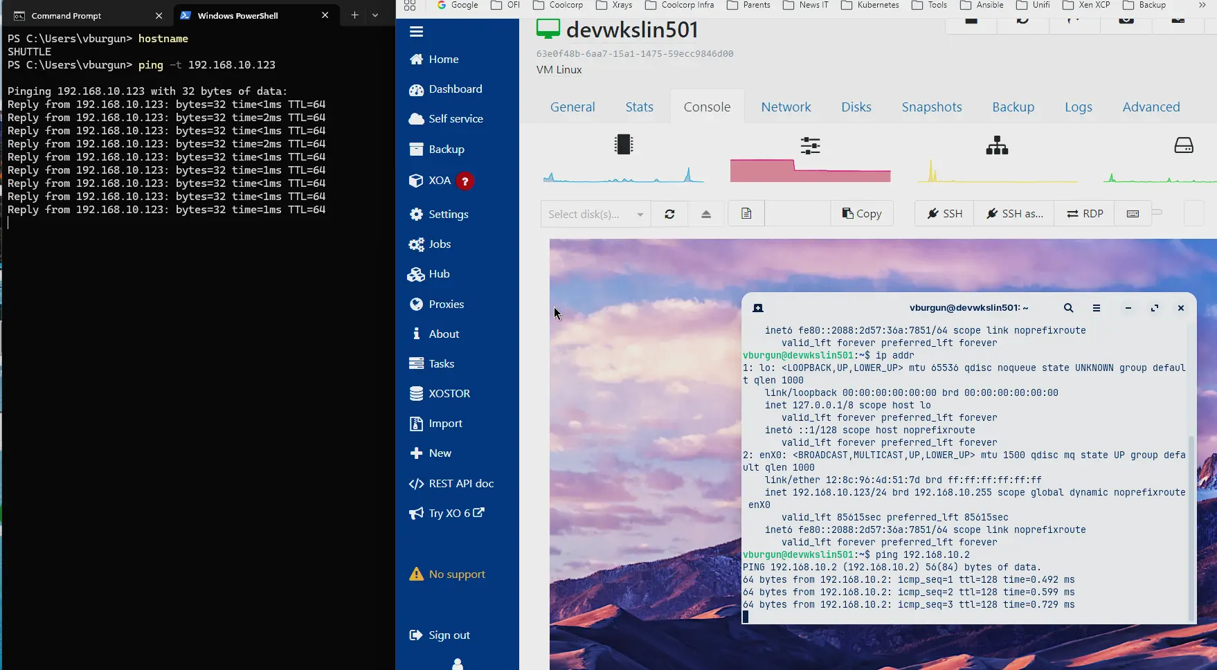 Lancement des pings depuis la VM